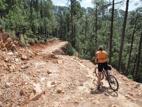 Uttarakhand Resort Каусані Екстер'єр фото