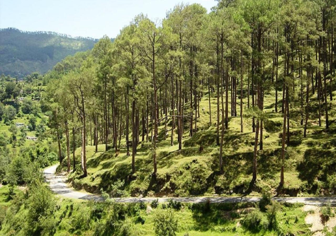 Uttarakhand Resort Каусані Екстер'єр фото